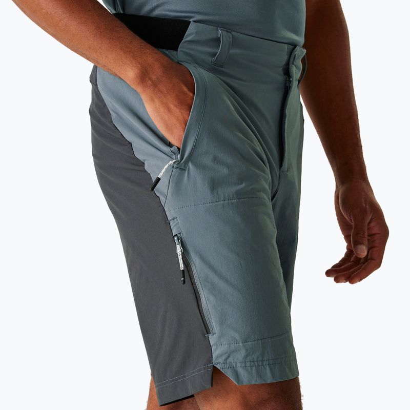 Men's trekking shorts REGATTA Eldes stormy weather/ash 4