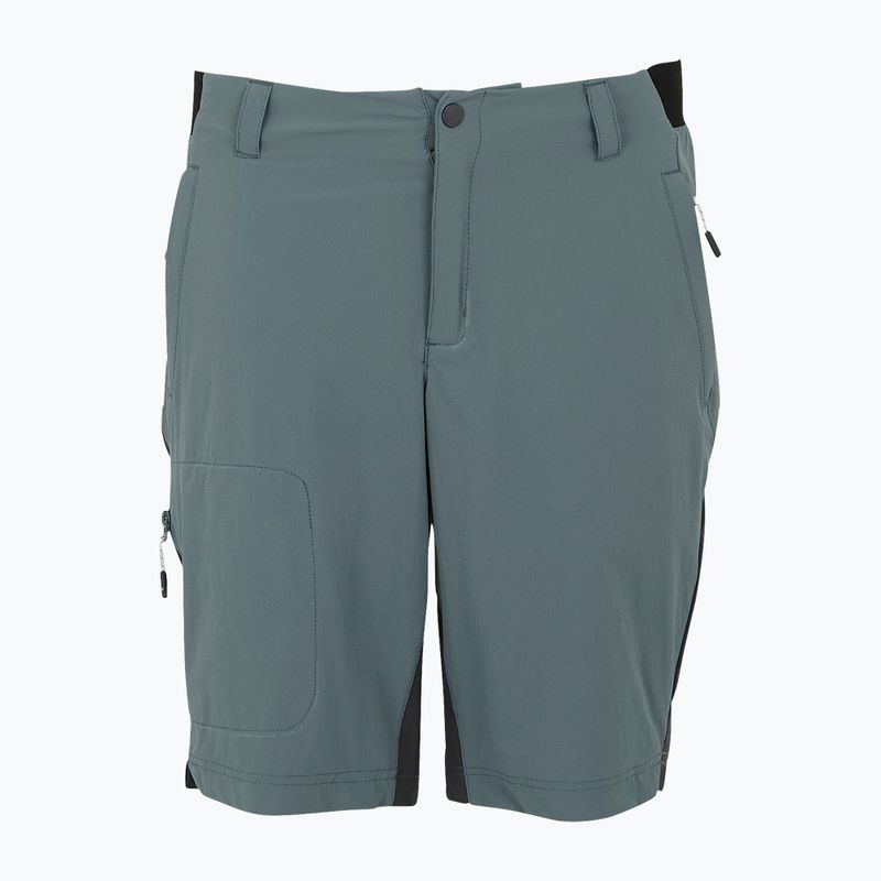 Men's trekking shorts REGATTA Eldes stormy weather/ash 5