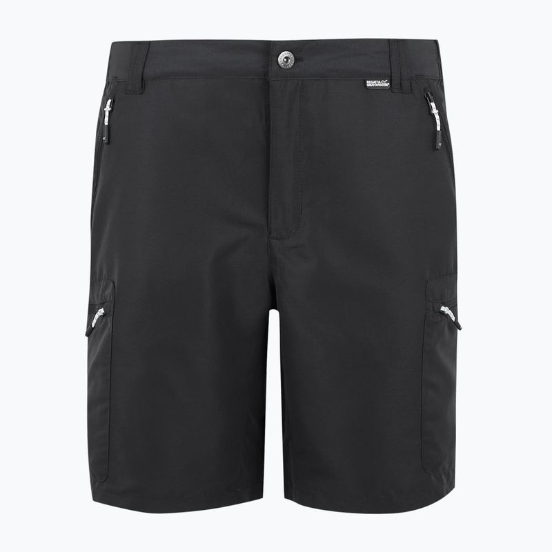 Men's trekking shorts REGATTA Leesville III ash 5
