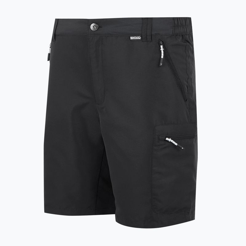 Men's trekking shorts REGATTA Leesville III ash 7