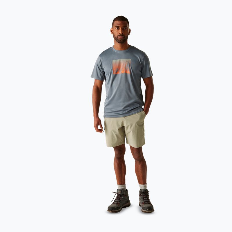 Men's trekking shorts REGATTA Leesville III golden sand 2