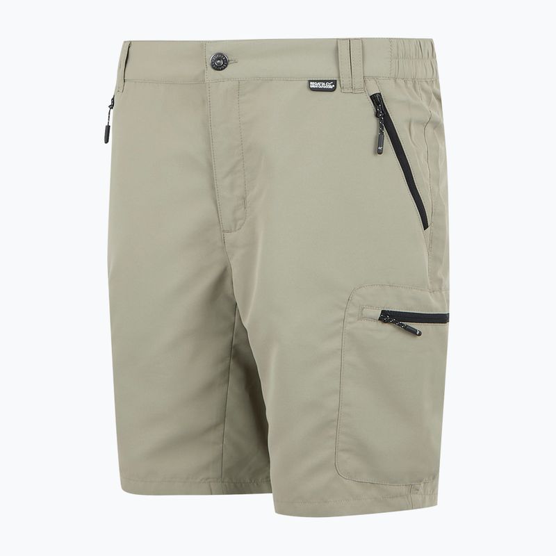 Men's trekking shorts REGATTA Leesville III golden sand 7
