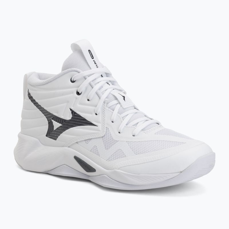 Volleyball shoes Mizuno Wave Momentum Pro Mid white/metallic gray/black