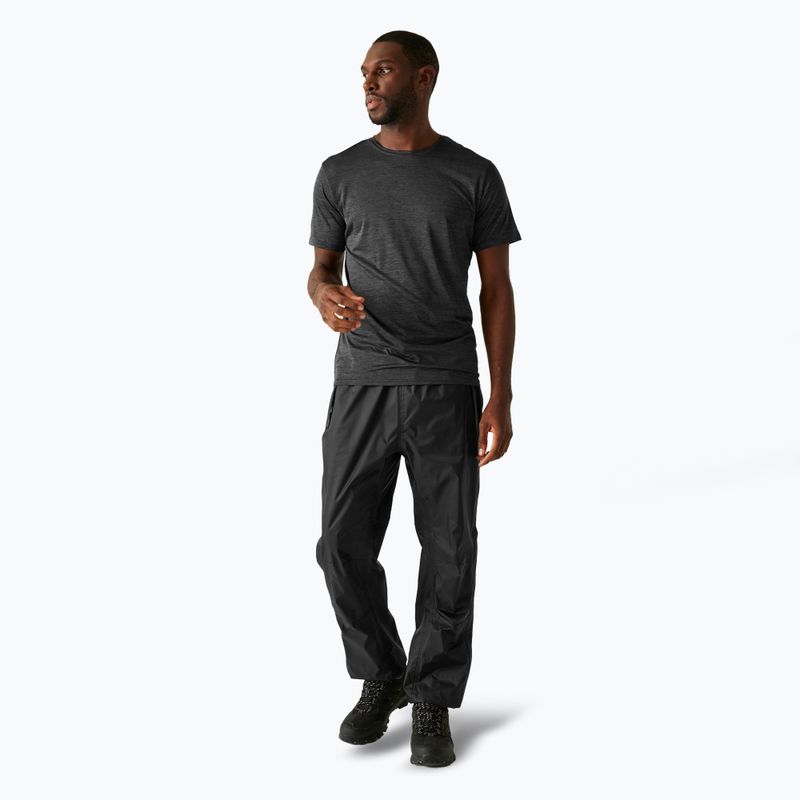 Men's trekking trousers REGATTA Active black 2