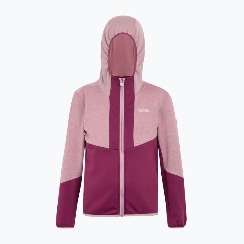 Children's fleece hoodie REGATTA Dissolver X beaujolais/lilas 6