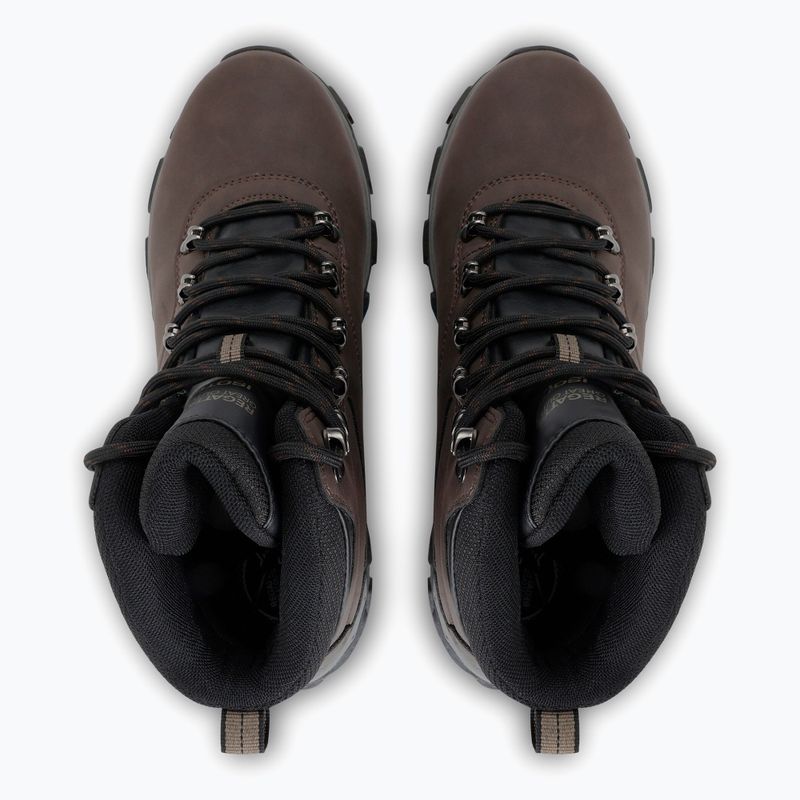 Men's trekking boots REGATTA Holcombe peat 13