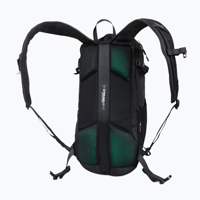 Hiking backpack REGATTA Blackfell IV 20 l black 4