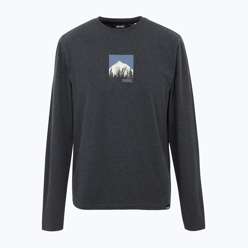 Men's T-shirt REGATTA Maylow black 5