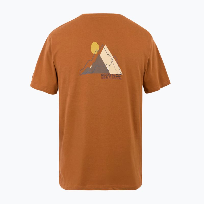 Men's T-shirt REGATTA ClineIX glazedginge 6