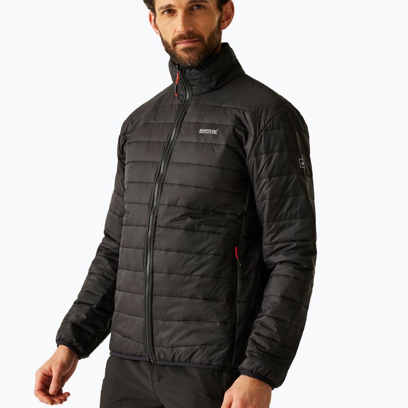 Men's 3in1 jacket REGATTA Wentwood dark maroon/black 8