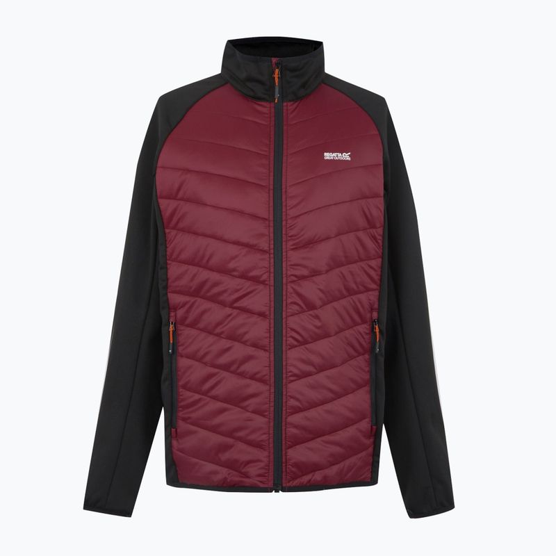 Men's 3in1 jacket REGATTA Sacramento dark maroon/black 13