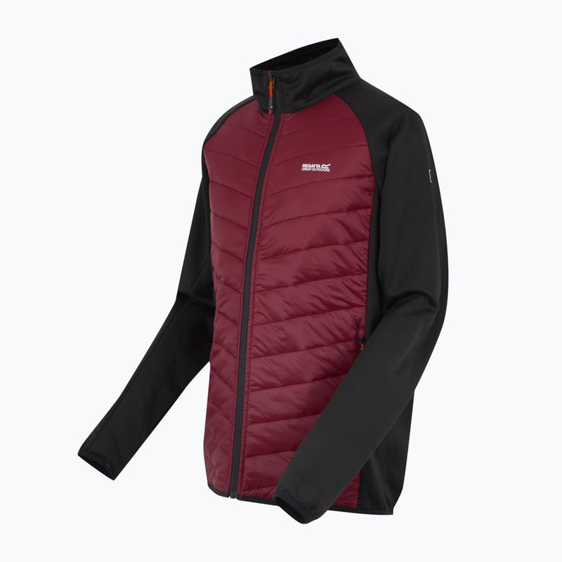 Men's 3in1 jacket REGATTA Sacramento dark maroon/black 15