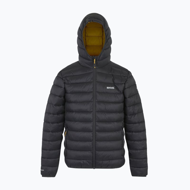 Men's jacket REGATTA Hooded Marizion ash/gold 8