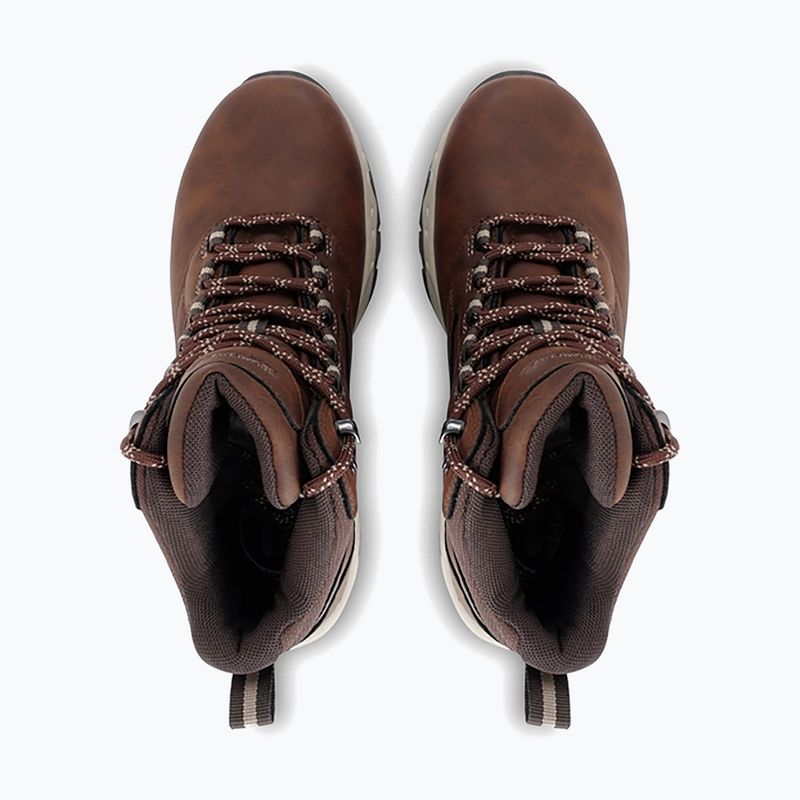 Women's hiking boots REGATTA Amble chestnut/soft taupe 9