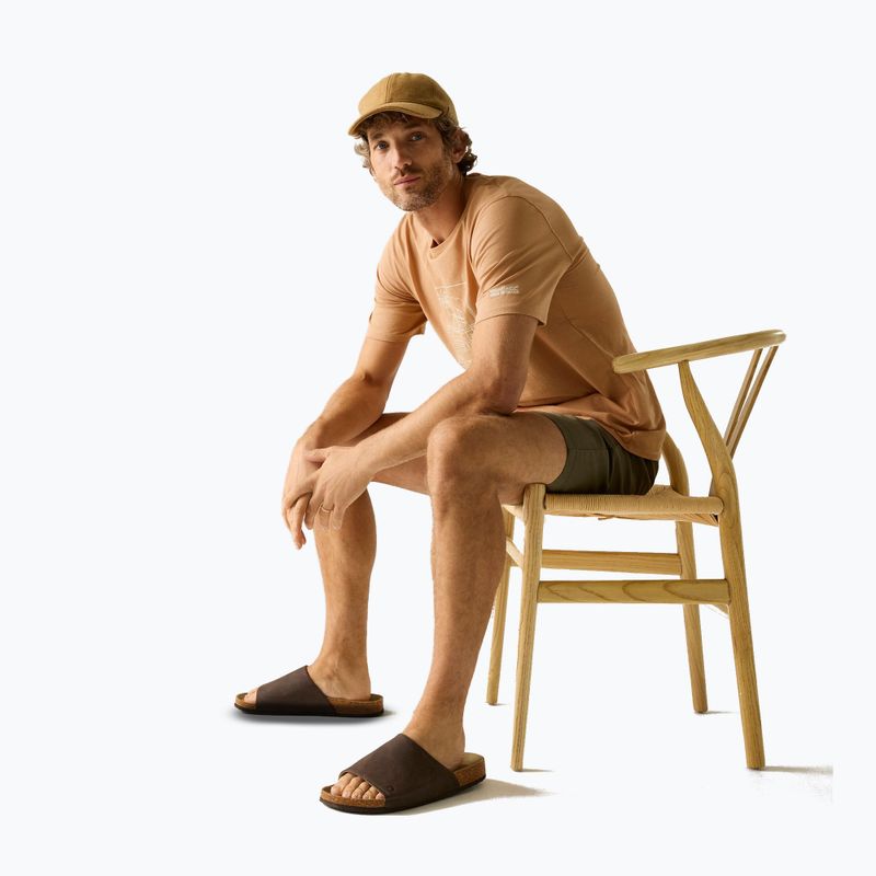 Men's T-shirt Regatta ClineIX Italian clay 4