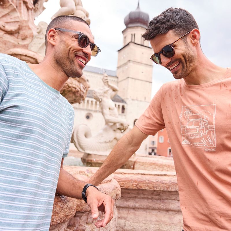 Men's T-shirt Regatta ClineIX Italian clay 9