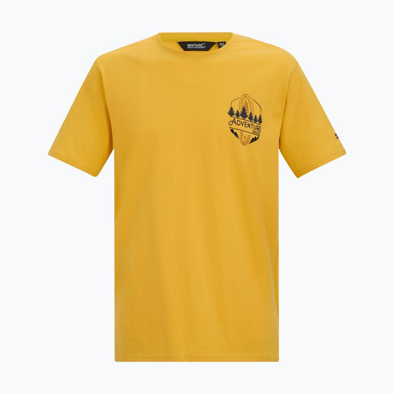 Men's T-shirt Regatta ClineIX ceylon yellow 5