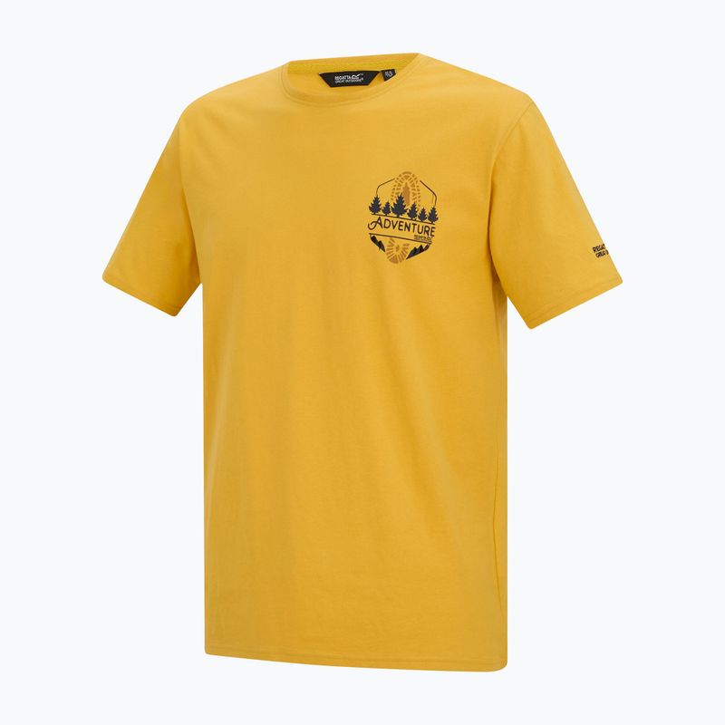 Men's T-shirt Regatta ClineIX ceylon yellow 7