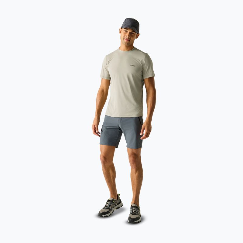 Men's trekking T-shirt REGATTA Mindoi Anti Insect abbeystone 2