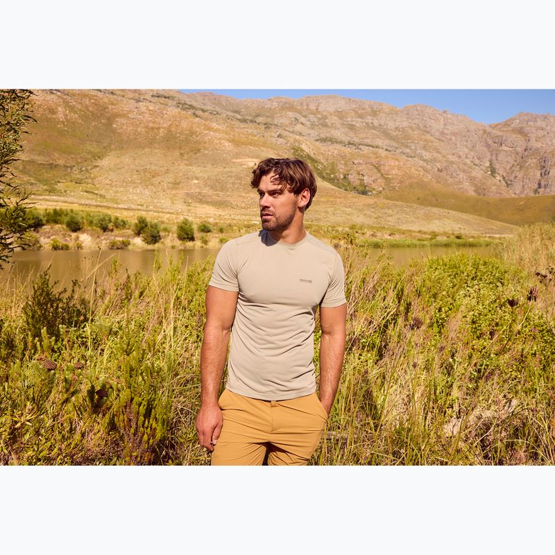 Men's T-shirt REGATTA Mindoi Anti Insect abbeystone 9
