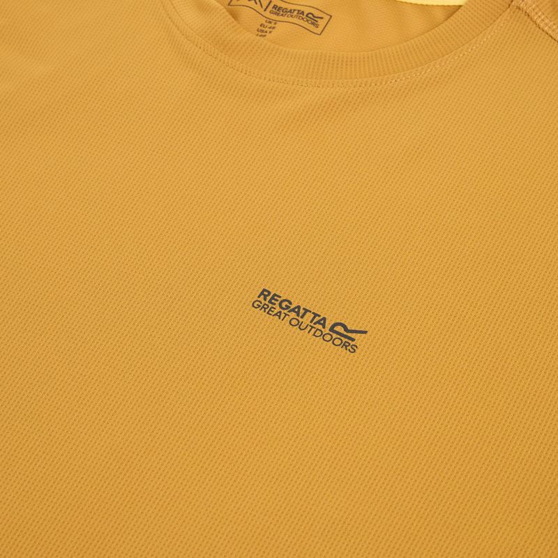 Men's T-shirt REGATTA Mindoi Anti Insect wood brown 3