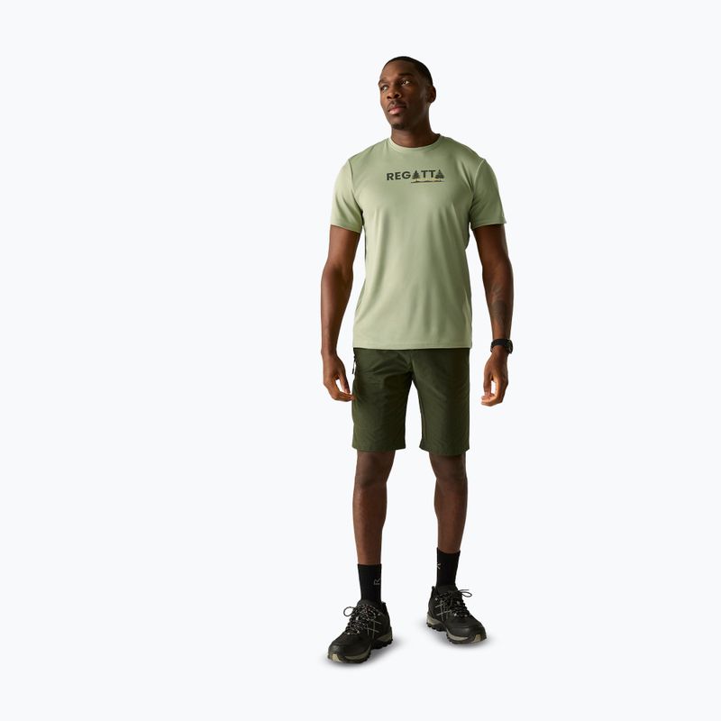 Men's trekking T-shirt REGATTA Fingal light sage 2