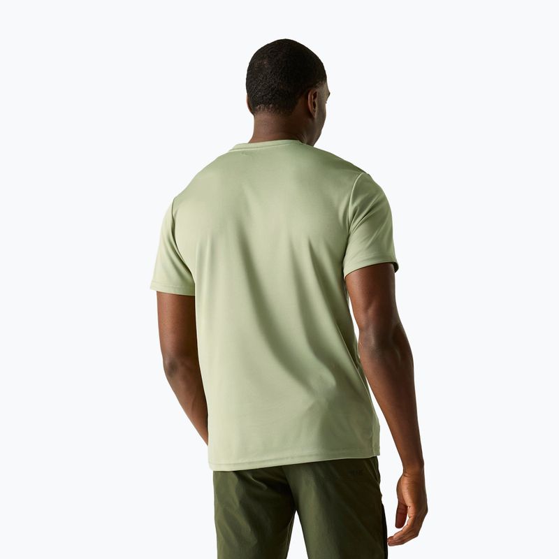 Men's trekking T-shirt REGATTA Fingal light sage 3