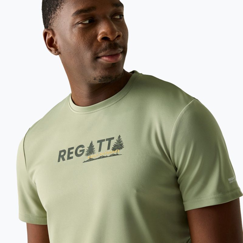 Men's trekking T-shirt REGATTA Fingal light sage 4
