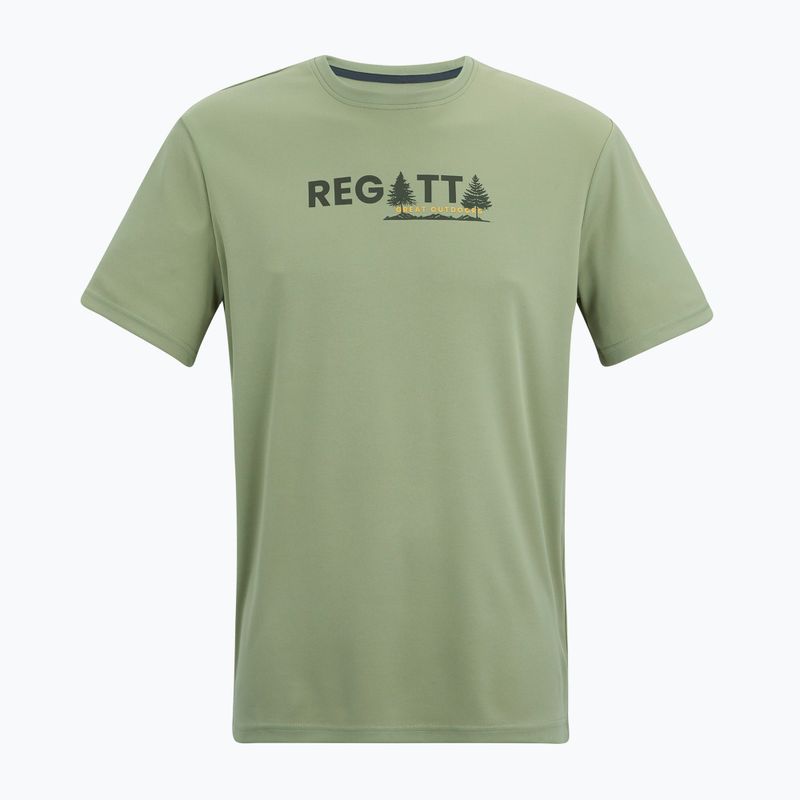 Men's trekking T-shirt REGATTA Fingal light sage 5