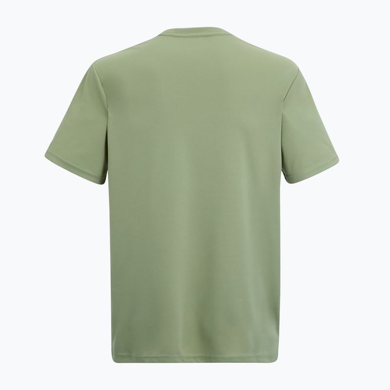 Men's trekking T-shirt REGATTA Fingal light sage 6