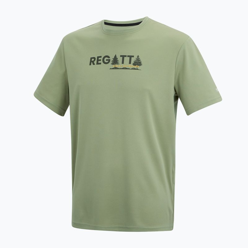 Men's trekking T-shirt REGATTA Fingal light sage 7