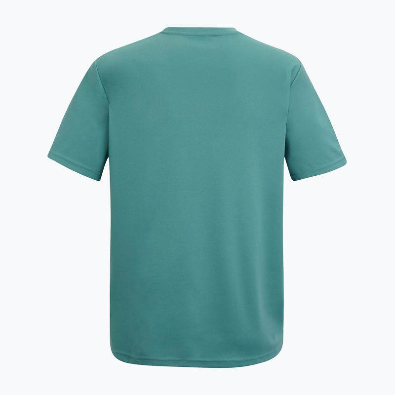 Men's trekking T-shirt REGATTA Fingal arctic 6