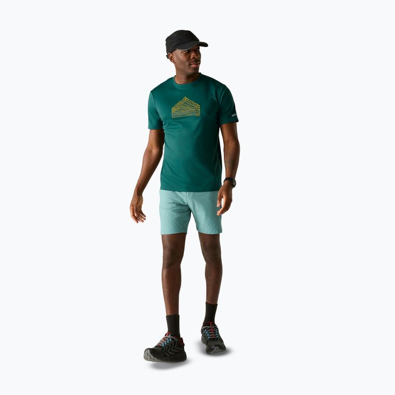 Men's trekking T-shirt REGATTA Fingal mediterranea 2