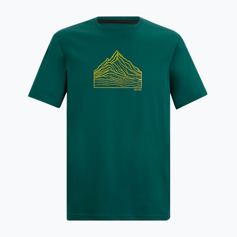 Men's trekking T-shirt REGATTA Fingal mediterranea 5