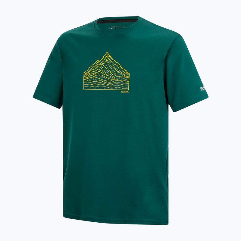 Men's trekking T-shirt REGATTA Fingal mediterranea 7