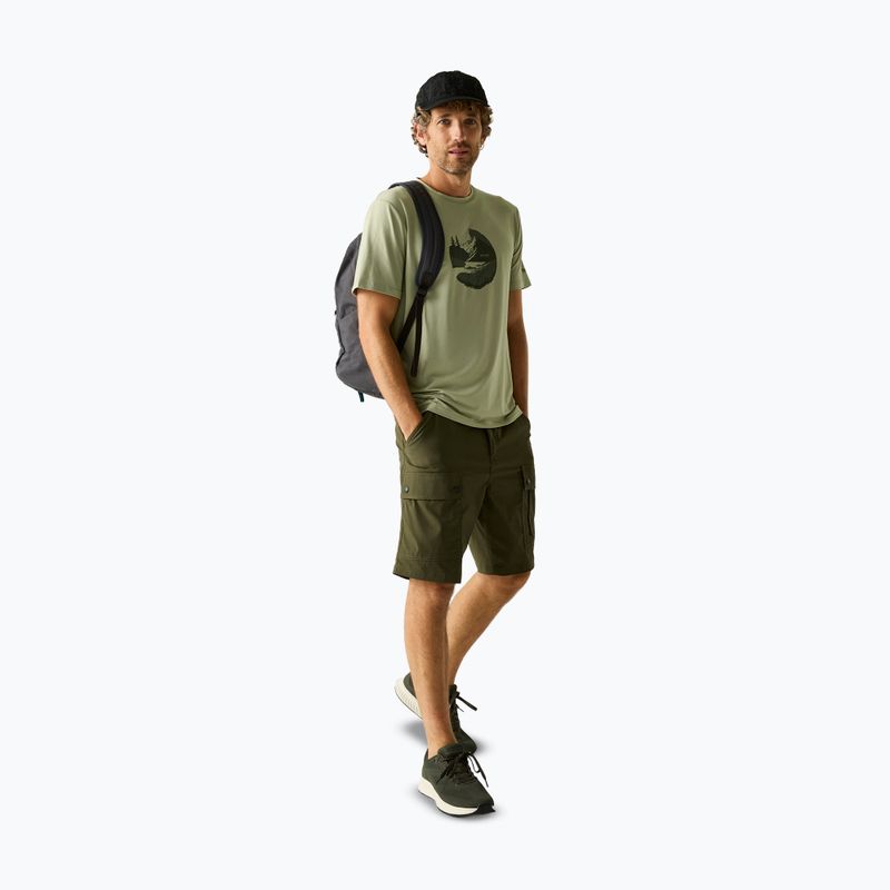 Men's trekking T-shirt REGATTA Fingal Stretch light sage 2