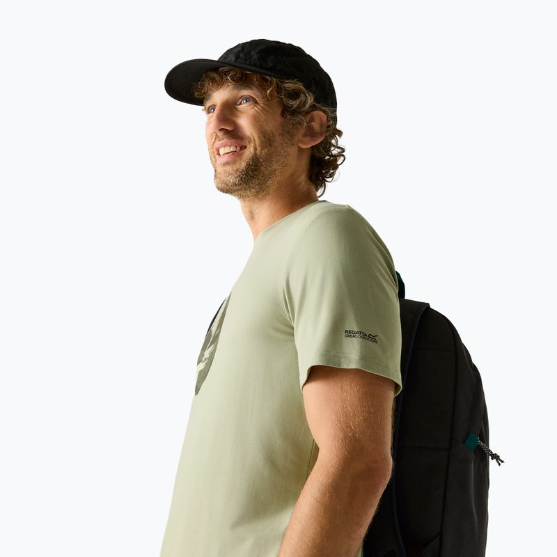 Men's trekking T-shirt REGATTA Fingal Stretch light sage 4
