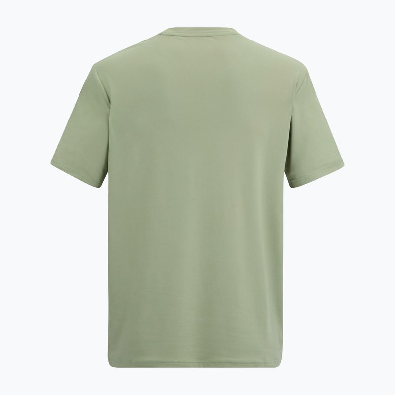 Men's trekking T-shirt REGATTA Fingal Stretch light sage 6