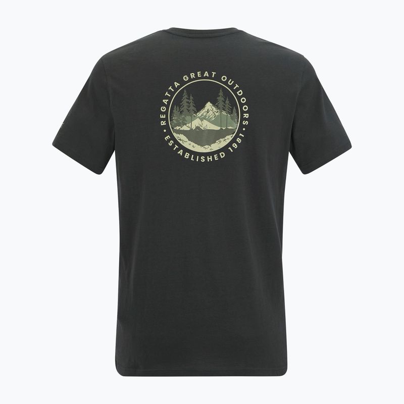 Men's trekking T-shirt REGATTA Breezed ash 6