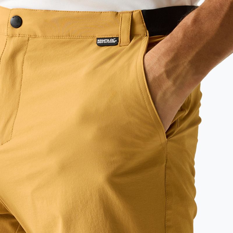 Men's trekking shorts REGATTA Anti Insect Travel Light wood brown 4