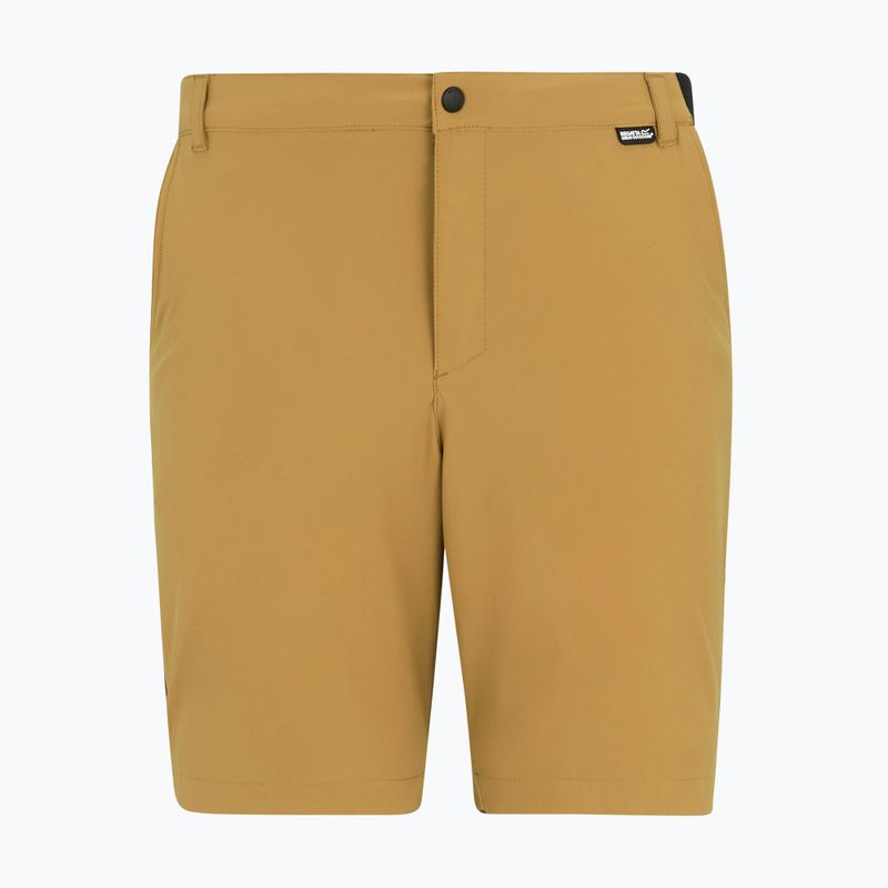 Men's trekking shorts REGATTA Anti Insect Travel Light wood brown 5