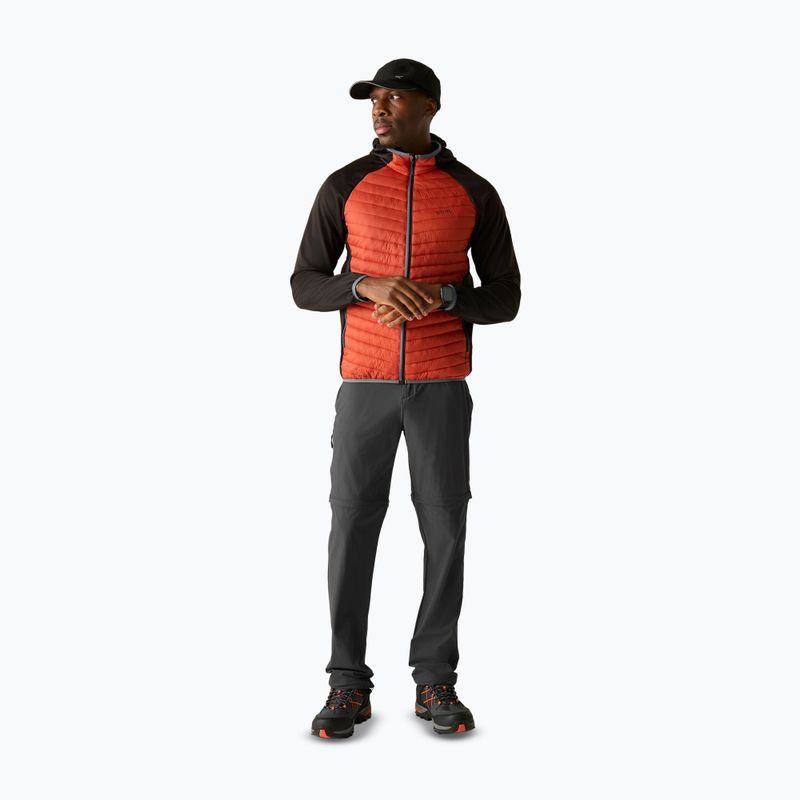 Men's trekking trousers REGATTA Anti Insect Travel Light ash 2