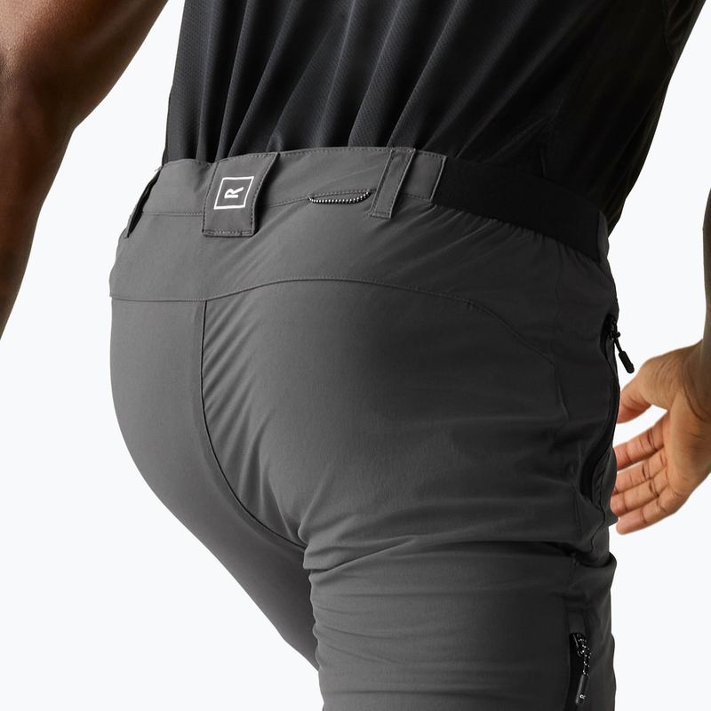 Men's trekking trousers REGATTA Anti Insect Travel Light ash 7