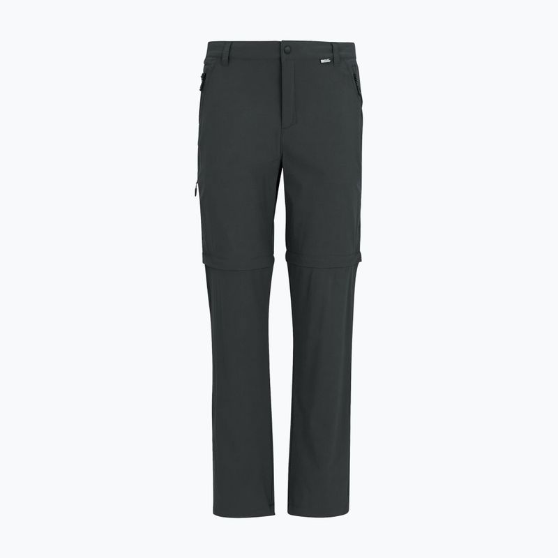 Men's trekking trousers REGATTA Anti Insect Travel Light ash 8