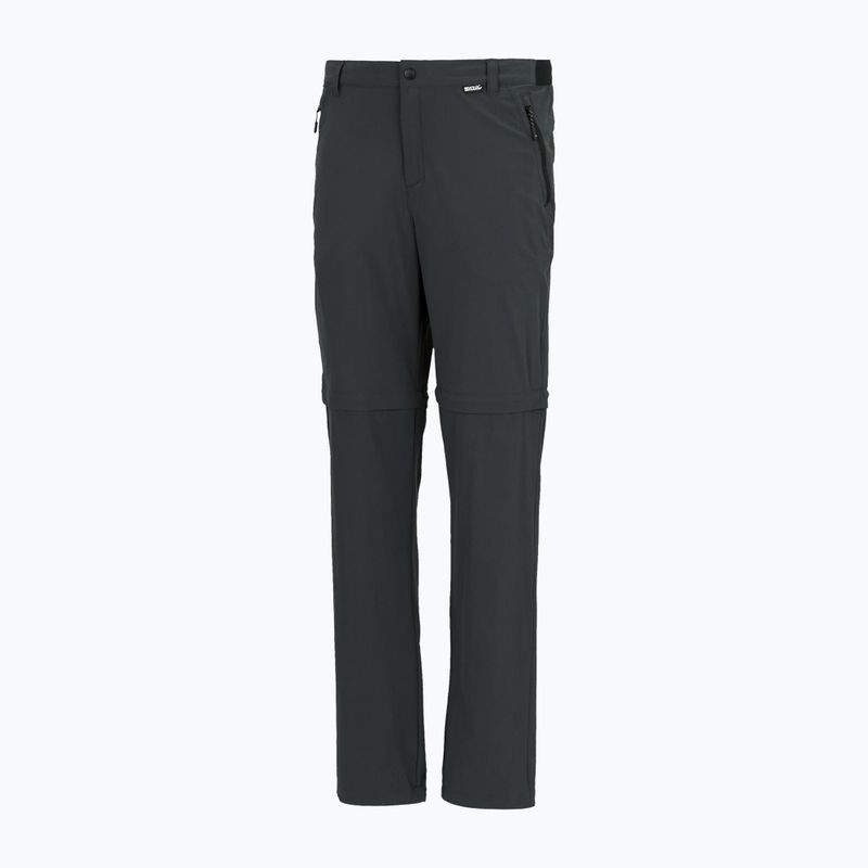 Men's trekking trousers REGATTA Anti Insect Travel Light ash 10