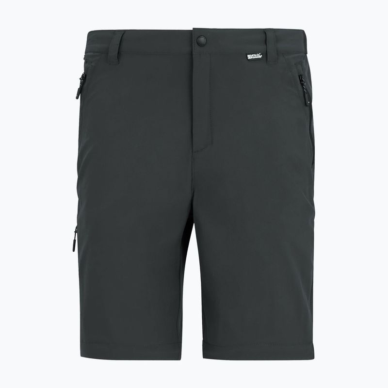 Men's trekking trousers REGATTA Anti Insect Travel Light ash 11