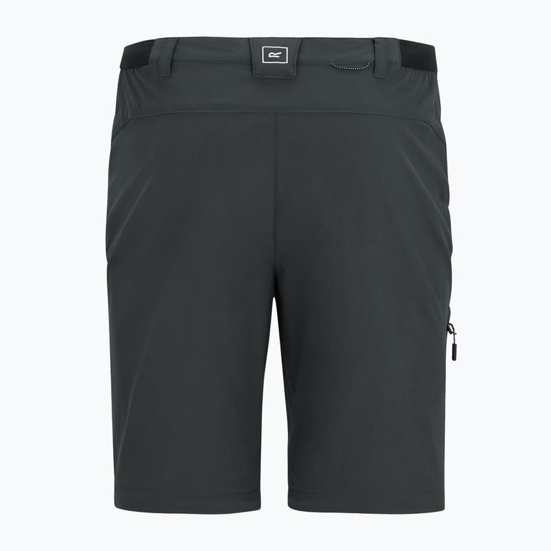 Men's trekking trousers REGATTA Anti Insect Travel Light ash 12