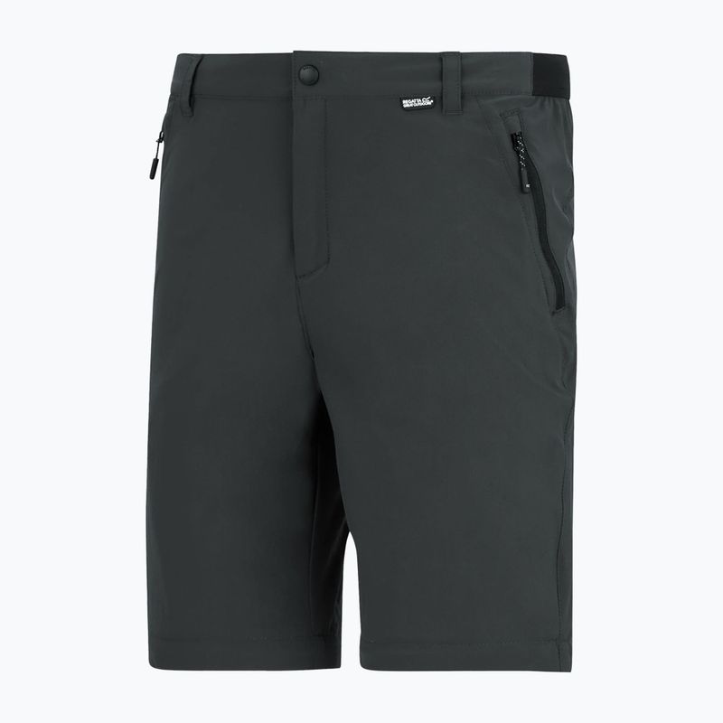 Men's trekking trousers REGATTA Anti Insect Travel Light ash 13