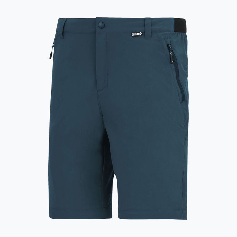 Men's trekking trousers REGATTA Anti Insect Travel Light night sky 6