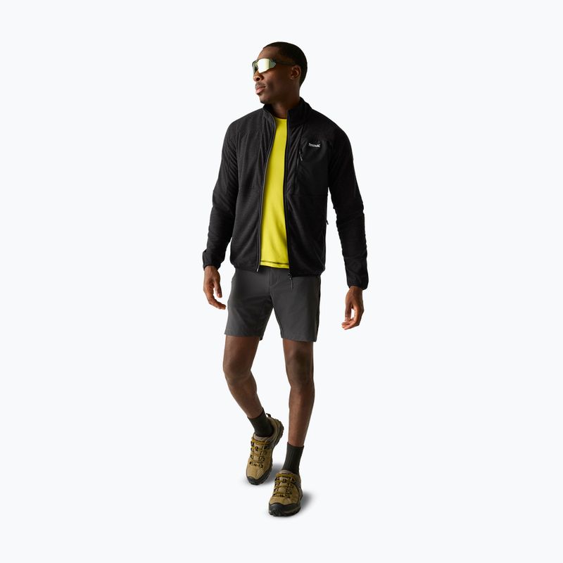 Men's fleece sweatshirt REGATTA Fleece Scaris ash 2